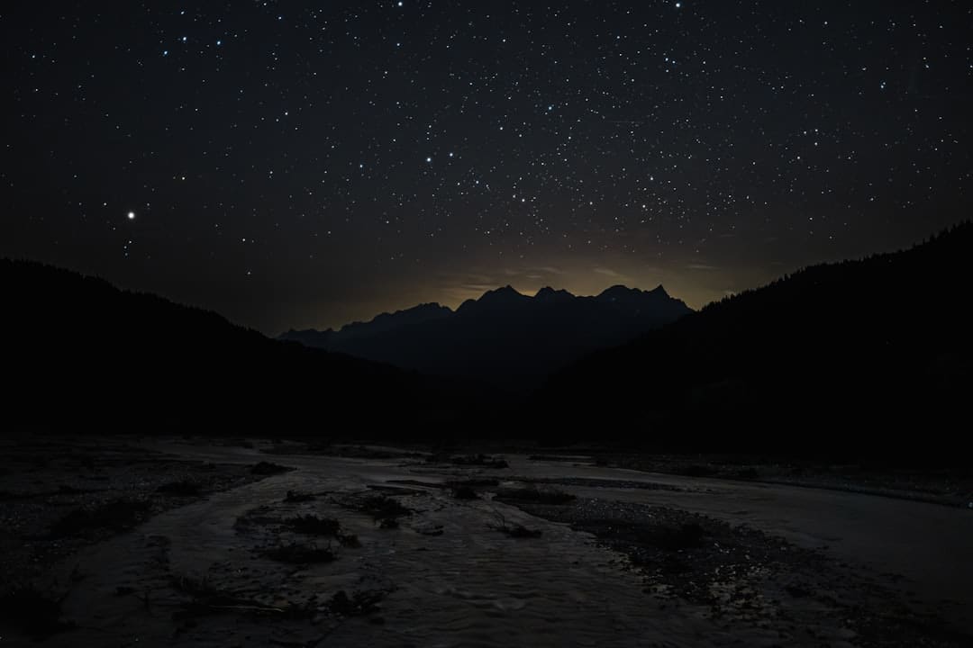 馇子怎么炒